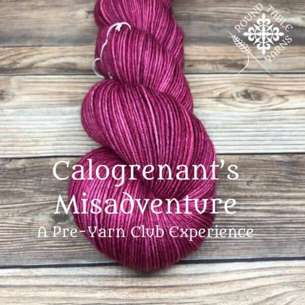 Round Table Yarns - Knight of the Lion Yarn Club Pre-Club - Indie Untangled
