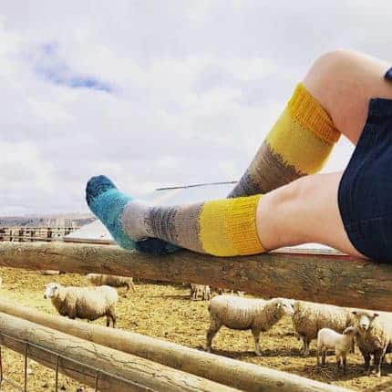 A woman wearing striped knee socks lounges on a fence with sheep.