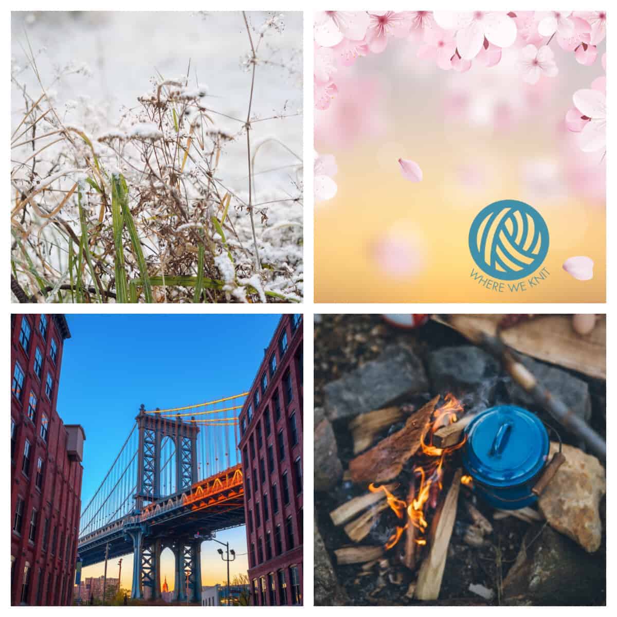 A collage with winter flowers, cherry blossoms, a blue put over a campfire and the Manhattan Bridge.