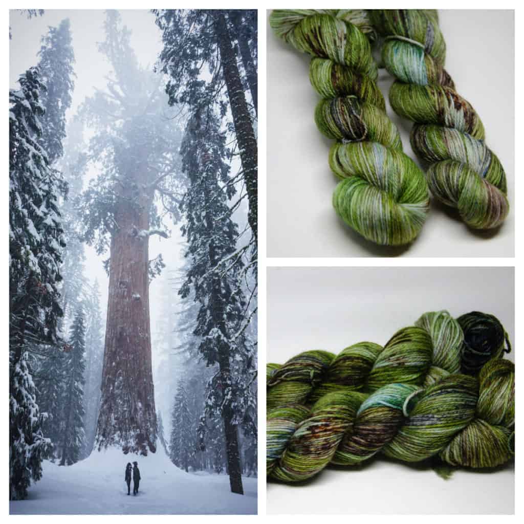 A snowy forest and green yarn.