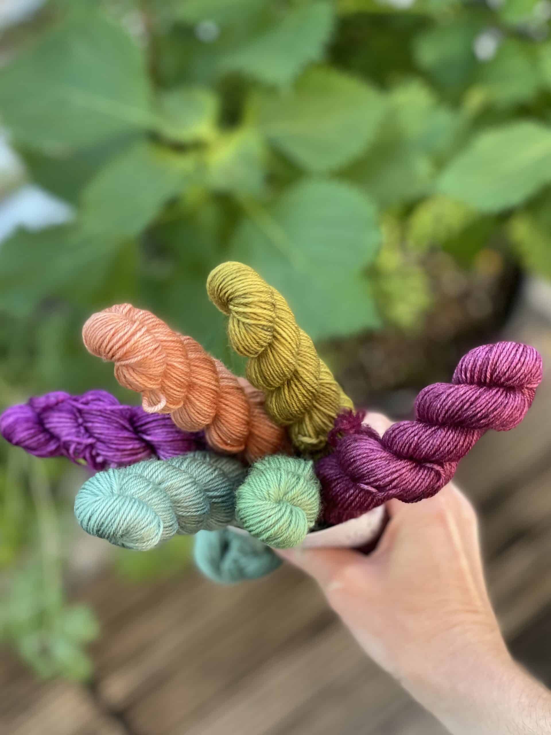 Purple, green, orange and gold mini skeins held in a light-skinned hand.