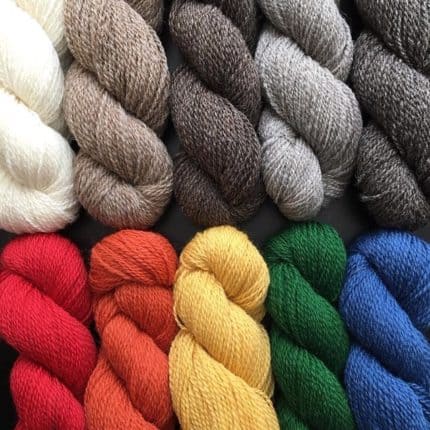 Skeins of yarn in a rainbow of colors.