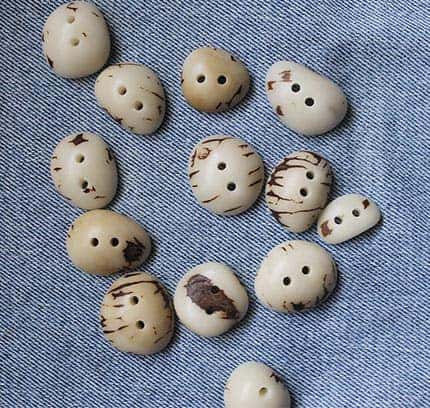 Ivory buttons scattered over blue fabric.