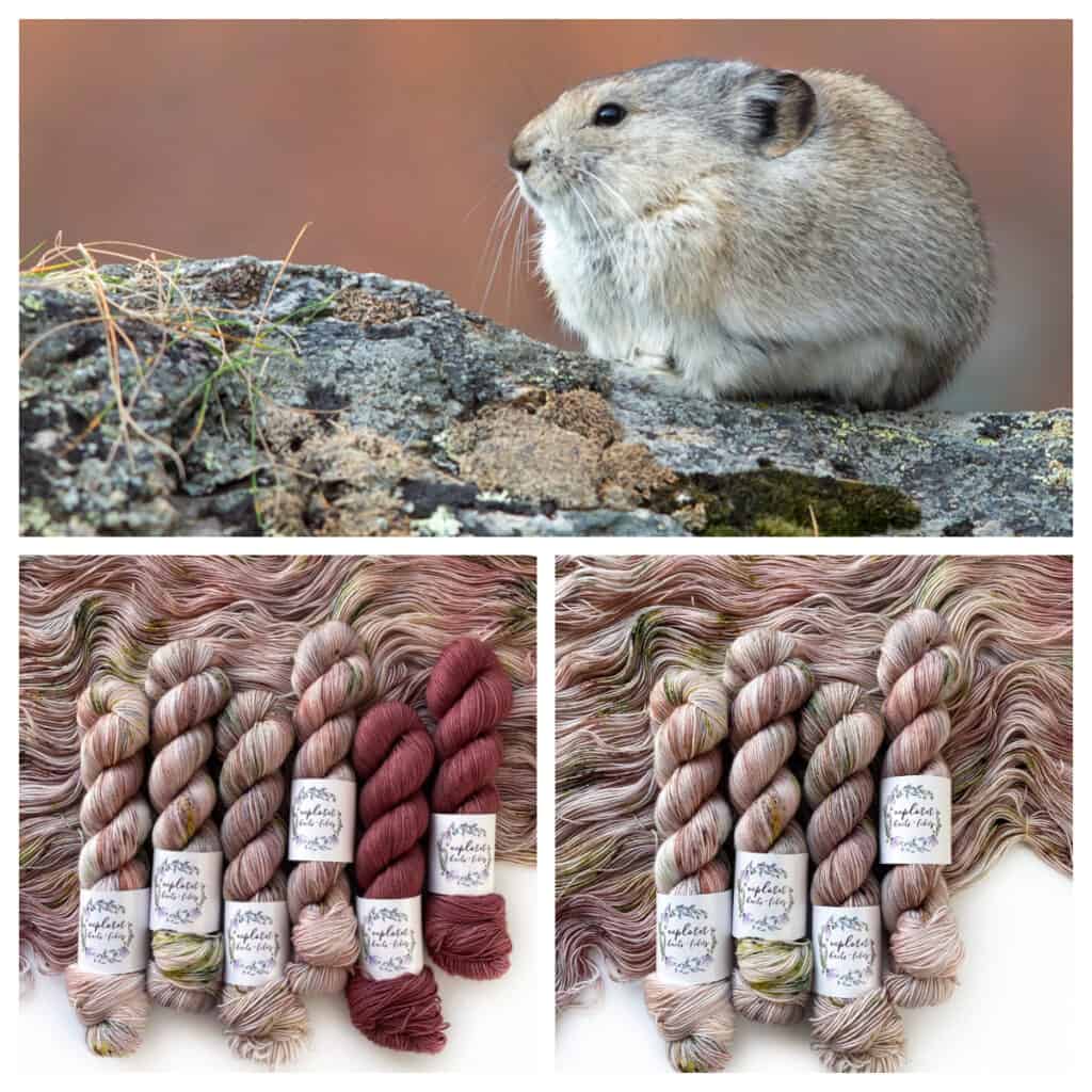 A furry rodent on a mossy rock, and skeins of pink and pink and green speckled yarn.
