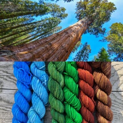 A tall sequoia tree and mini skeins of blue, green, red and brown yarn.