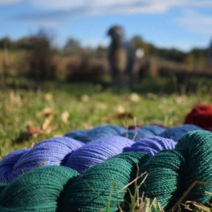 Purple, blue and red skeins of yarn skeins in a field with a blurry goat in the background.