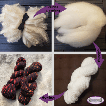 A set of four pictures showing the transformation from raw white locks of wool to a washed cloud of fiber to an un-dyed skein of yarn and finally two skeins of yarn dyed red and black.