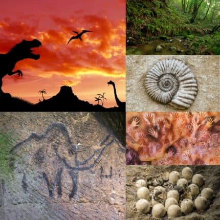 Prehistoric dinosaurs under a red and orange sky, dinosaur eggs and fossils and a green jungle.