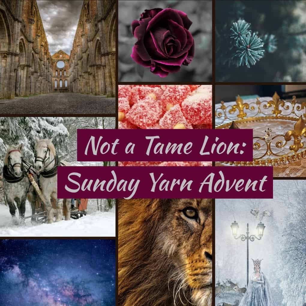 A collage with various images in grey, gold, burgandy and white, with the text Not a Tame Lion: Sunday Yarn Advent