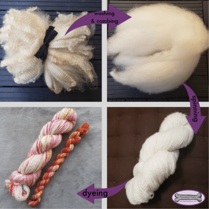 A set of four pictures showing the transition from raw locks to combed to to spun yarn to hand-dyed yarn.