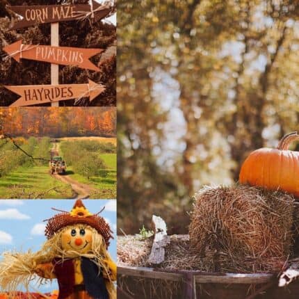 A collage of photos including a scarecrow, the back of a hayride tractor and signs pointing the way to the hayride and pumpkin patch.