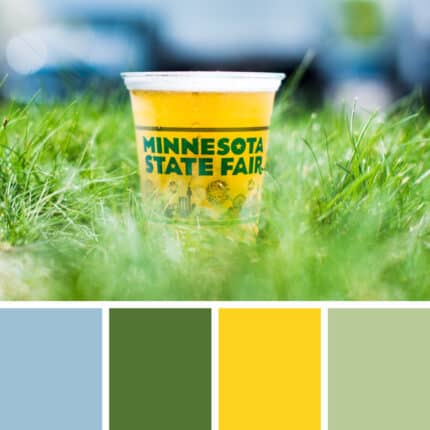 A photo of cup of beer, sitting in the grass, with blue skies in the background. Minnesota State Fair is written across the cup.
