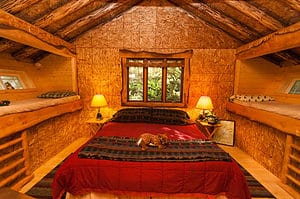 A room with a red-covered bed and bunk beds.