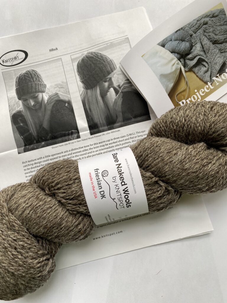 1 skein of gray yarn and hat pattern.