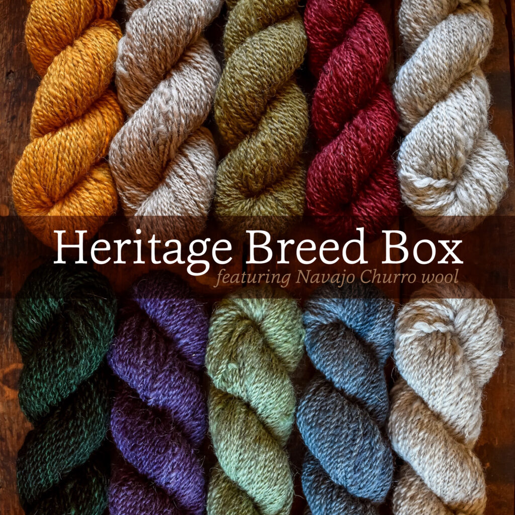 Ten skeins of colorful rustic yarn in twisted skeins laying flat on a wooden tabletop with the words Heritage Breed Box featuring Navajo Churro wool overlaid on the image.