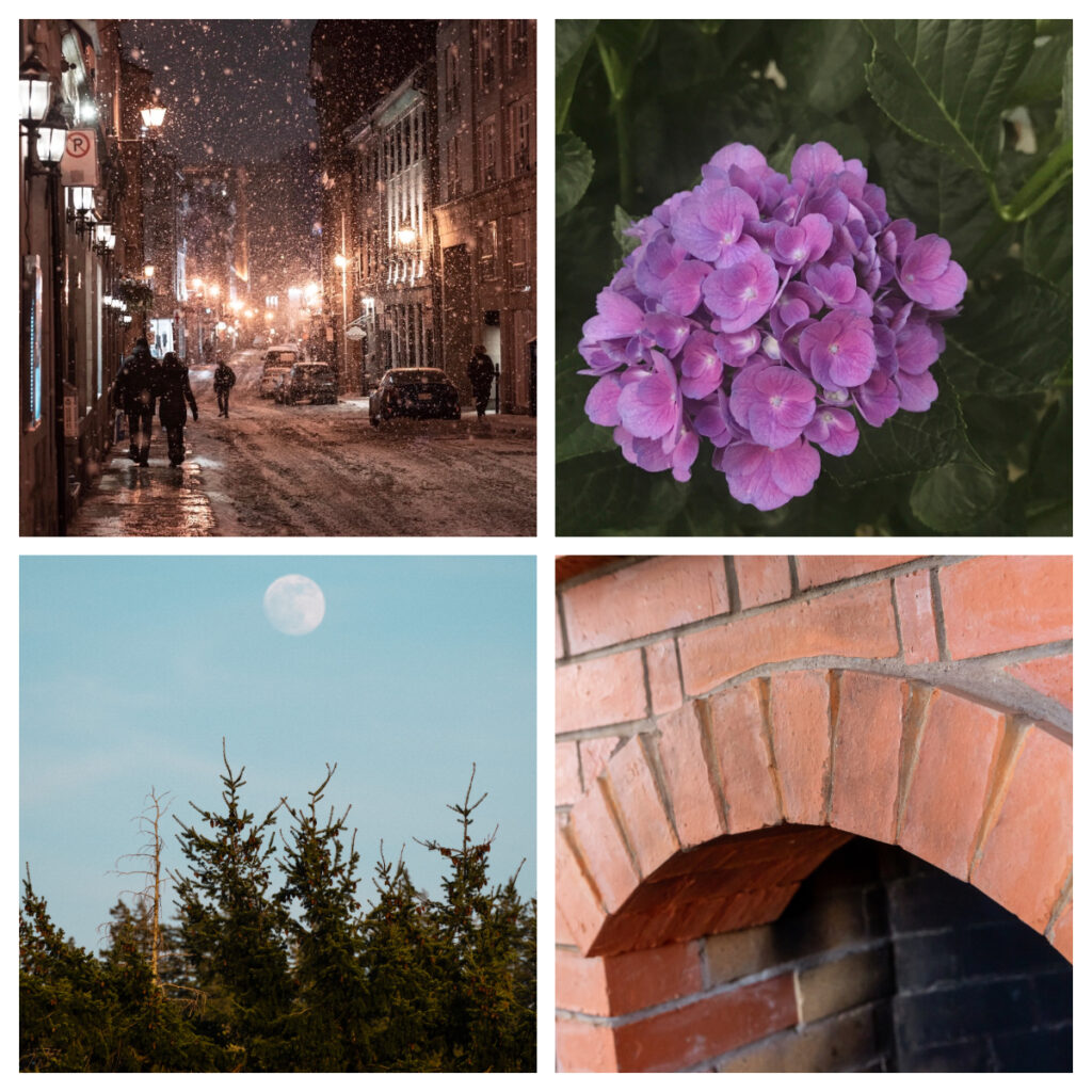 A city in snow, a purple hydrangea, a pink brick fireplace and a moon over a forest.
