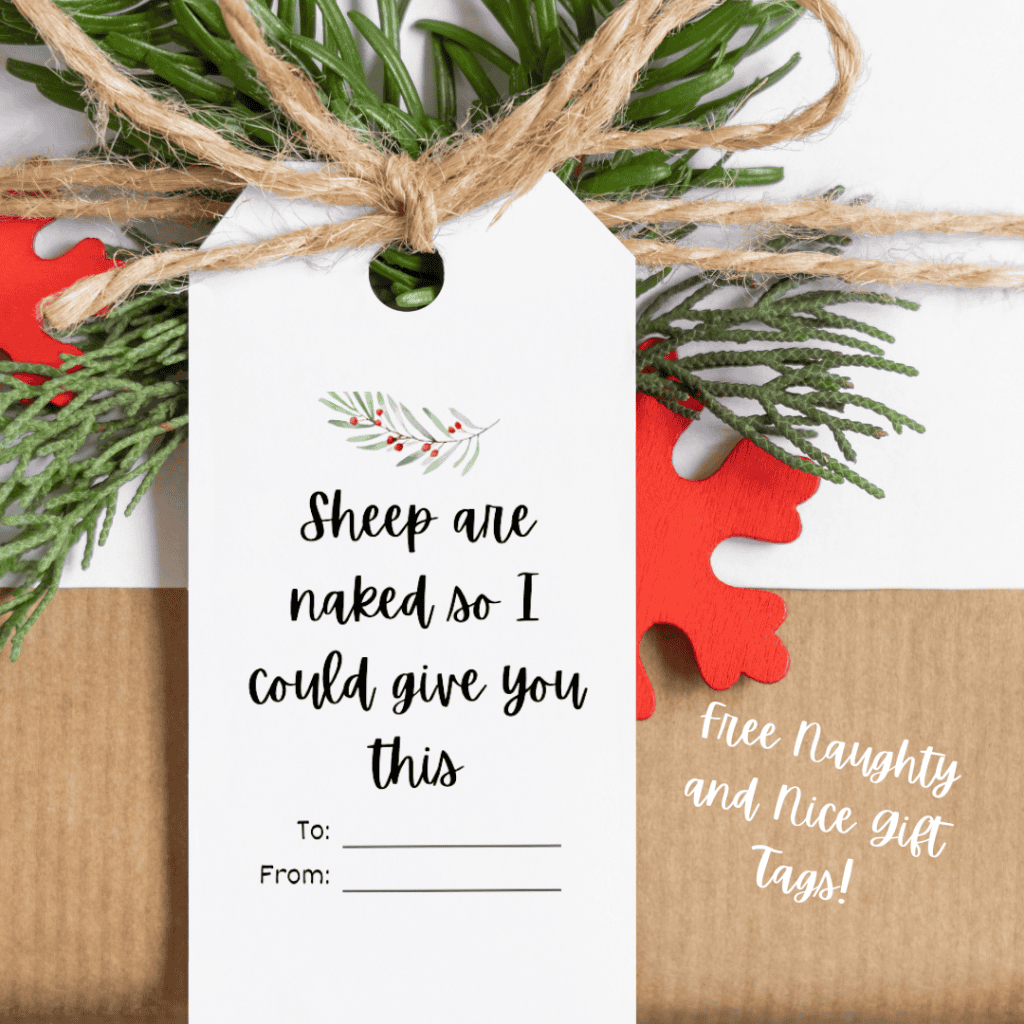 A gift tag with the words "Sheep are naked so I could give you this."