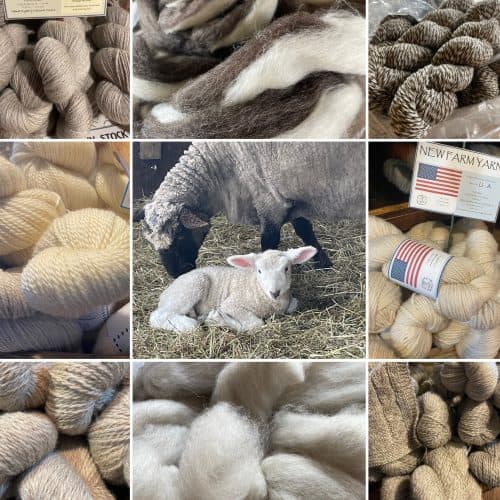 A collage of natural yarns and fibers surrounded by a white lamb sitting by an adult sheep.