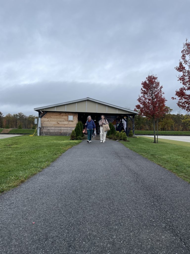 On an overcast day, an asphalt path leads toward a covered wooden pavilion where two women with light skin tones walk forward side-by-side. The woman on the left wears a blue jacket and teal pants while carrying bags, and the woman on the right wears a beige top and white pants while holding a paper shopping bag. Green grass flanks the walkway, bordered on the right by young trees with vibrant red autumn foliage under a grey sky.