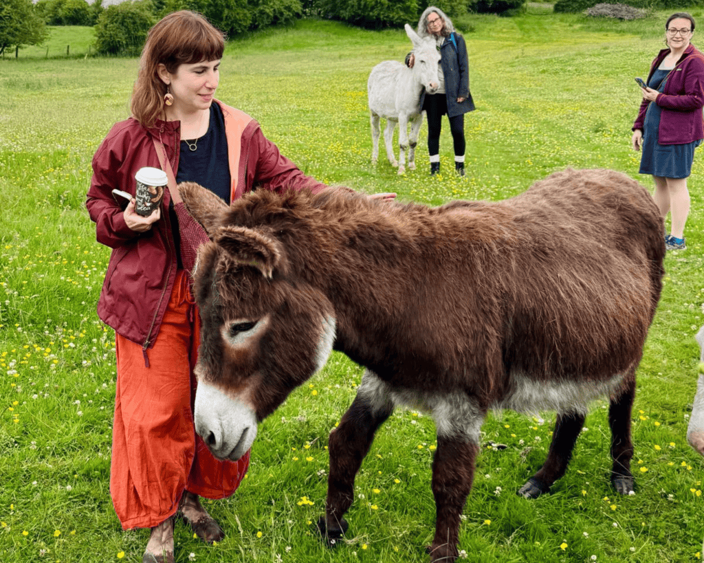 A woman with medium-light skin tone pets a brown donkey in a flower-dotted field, with two other women and a white donkey visible in the background.