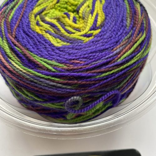 One skein purple and green variegated yarn.